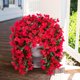 thumbnail image 2 of Flores artificiales de buganvilla para decoración exterior (2 unidades), 2 of 9