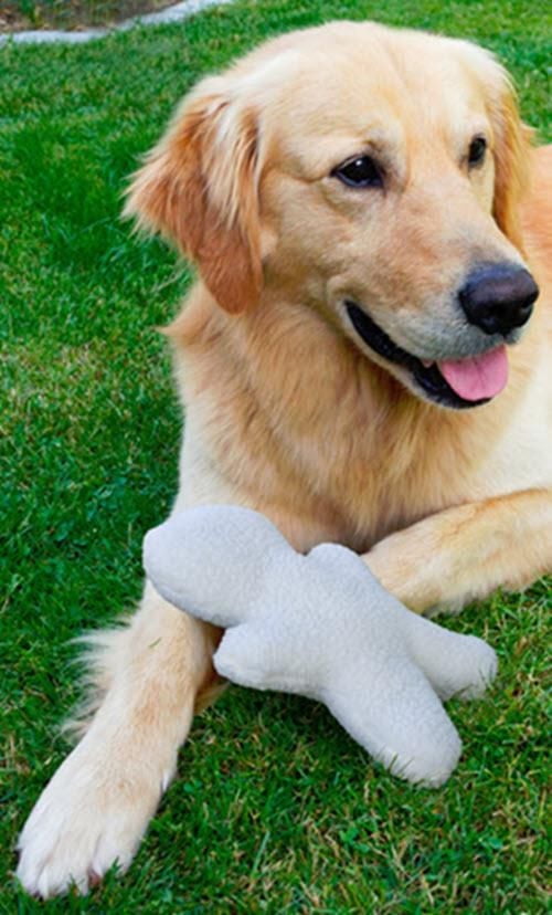 Penn-Plax Soft Fleece Plush Squeaker Dog Toy - Durable, Interactive, and Chew-Resistant for All Breeds - Ideal for Fetch and Cuddling"