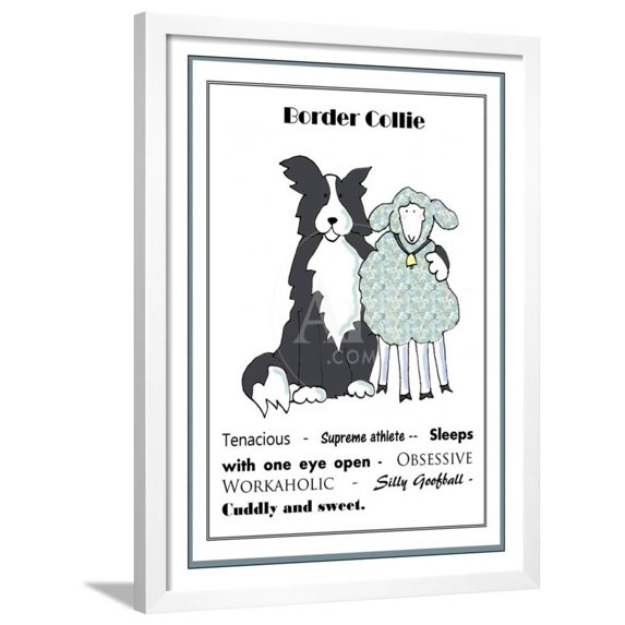 XL Border Collie, Animals Framed Art Print Wall Art by Jennifer Zsolt Sold by Art.Com