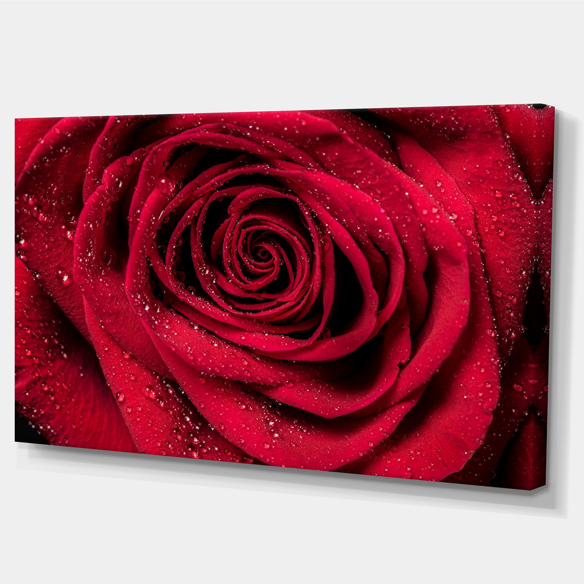 Designart 'Red Rose Petals with Rain Droplets ' Floral Art Canvas Print