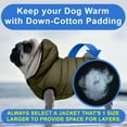 thumbnail image 5 of Pawtitas Reversible Dog Jacket Water Resistant Dog Coat for Cold Weather - Small Jacket - Green / Beige, 5 of 9