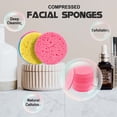 thumbnail image 5 of MODANU  50 Count Compressed Facial Sponges Natural Face Sponges for Cleansing Facial Cleansing Sponges Pads Exfoliating Sponges for Cleansing (Pink), 5 of 8
