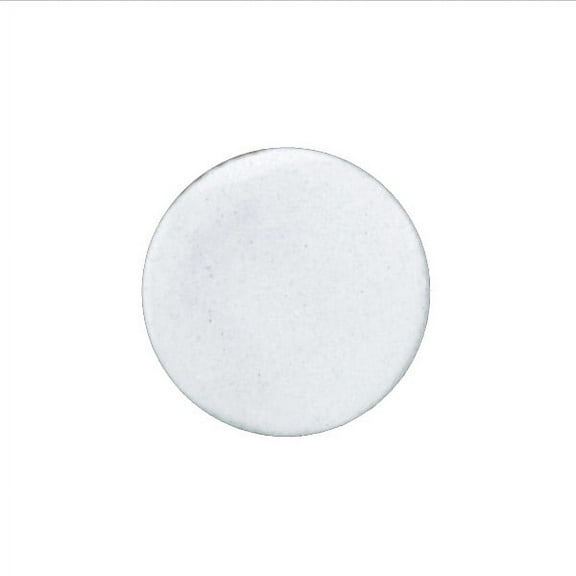 1020 Titanium White Thompson Opaque Enamel 1 Ounce