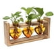 thumbnail image 2 of Jarrón con bombilla | Novedad Portaflores Decorativo y Organizador de Escritorio | Material reciclable | Fácil de limpiar | Regalo único ecológico para la decoración de la oficina en casa | 1 Pieza, 2 of 8