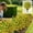 Yellow, variant on Konghyp Simulated Flower Planting Eucalyptus Violet Flowers, Durable Outdoor Decoration, Realistic Faux Plants, Ideal for Garden, Courtyard, and Patios
