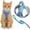 Blue#002, variant on Cat Harness and Leash, 2026 New Escape-Proof Cat Harness Set, Adjustable Step-in Pet Harness for Walking for Small Medium Dogs/Cats(Saffron,L(for 8.8-16.5 IB))