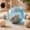 Blue B, variant on Automatic Rolling Interactive Cat Toy Ball Realistic Mouse Design 4.92 Inch 1 Pack
