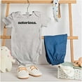 thumbnail image 3 of Notorious Cool 1990s Throwback Romper Boys or Girls Infant Baby Brisco Brands NB, 3 of 6