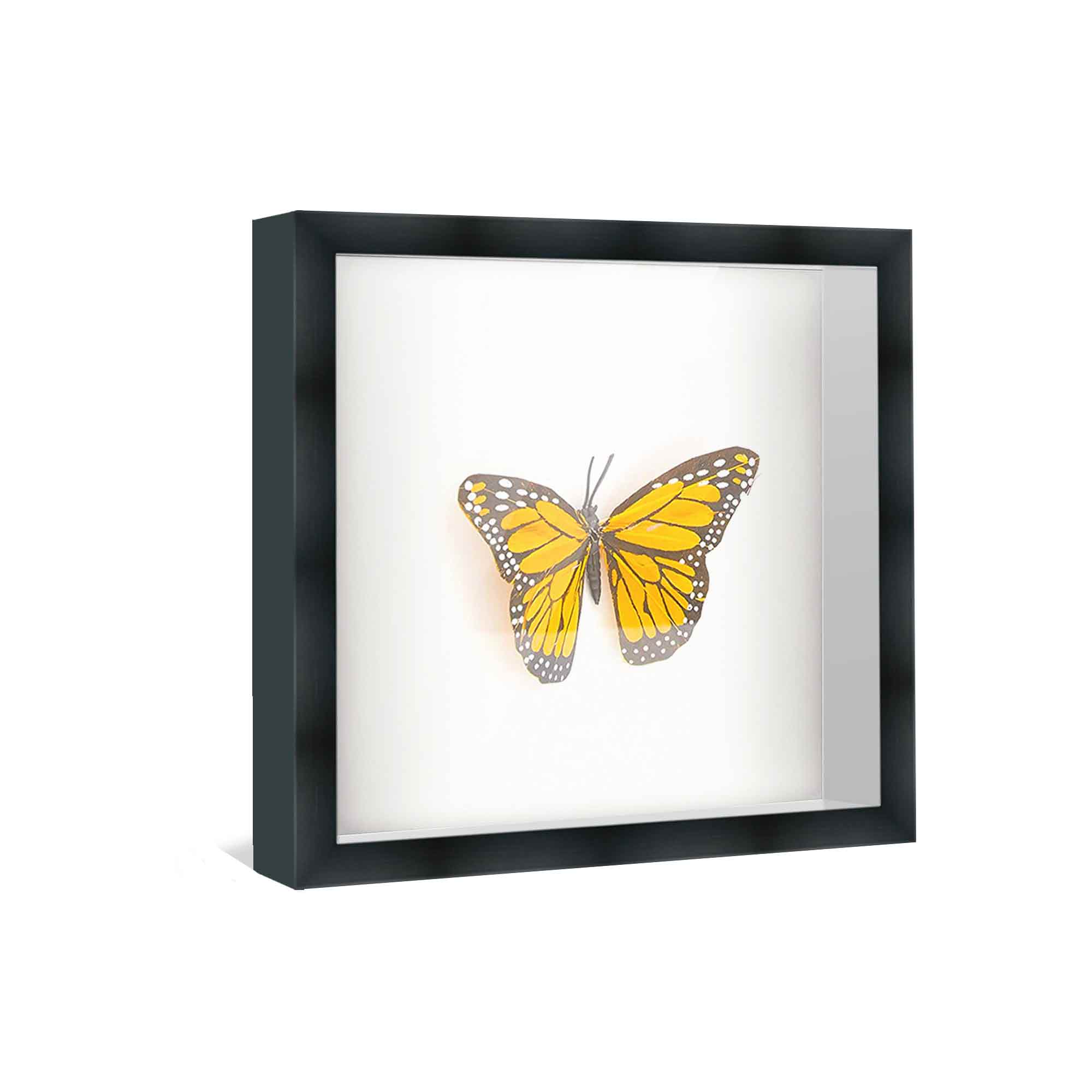 24x24 Shadow Box Frame Black 2 inches Deep Real Wood Contemporary