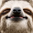 thumbnail image 3 of Men's Women's Novelty 3D Sloth Printed Hoodie Long Sleeve Pullover Sweatshirt with Kangaroo Pocket Casual Everyday Activewear, 3 of 5
