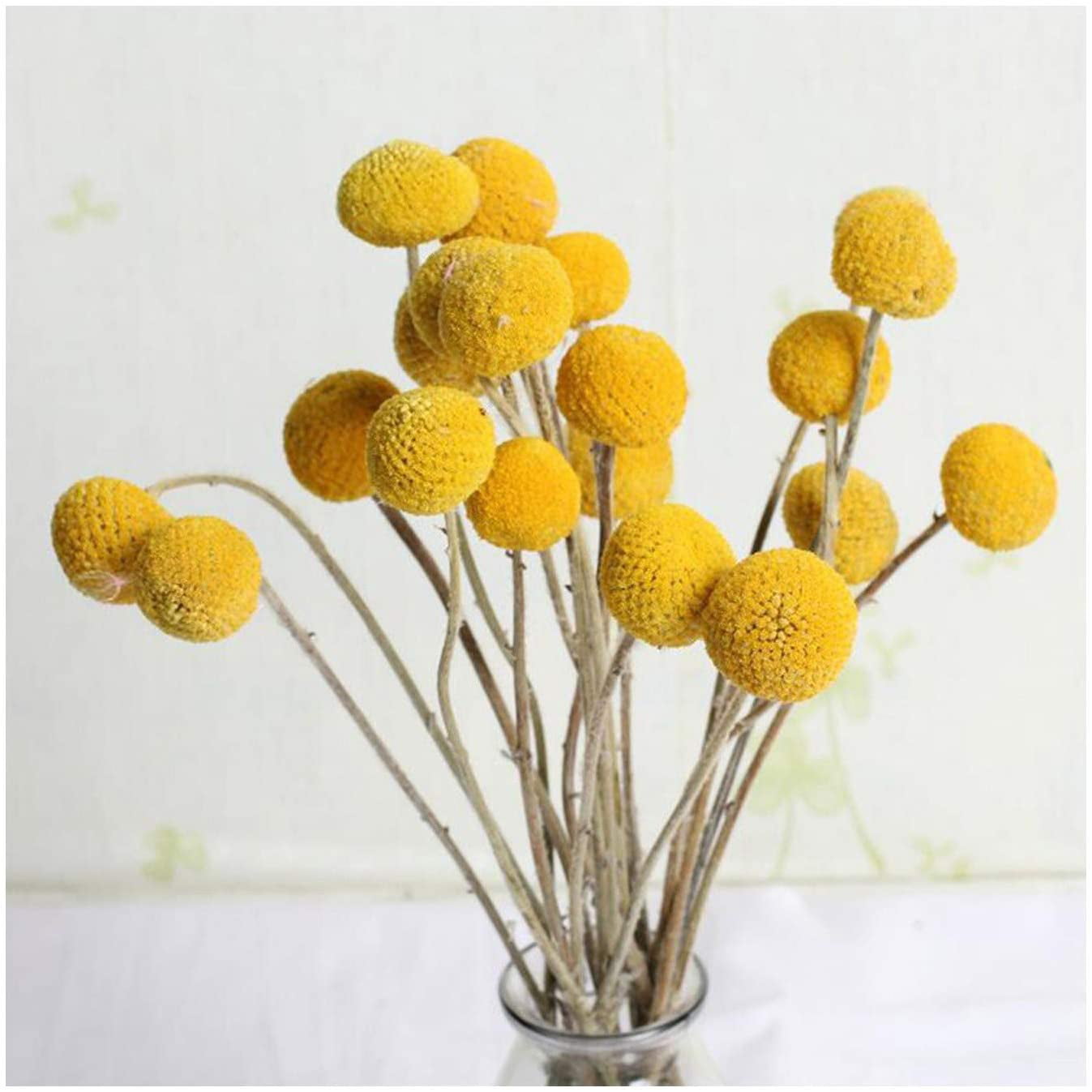 10pcs Dried Natural Craspedia Flower Single Yellow Balls Floral Home Decor 