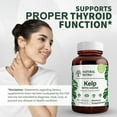 thumbnail image 7 of Natural Nutra Sea Kelp Iodine Supplement for Thyroid Support and Immune System- 100 Tablets, 7 of 7