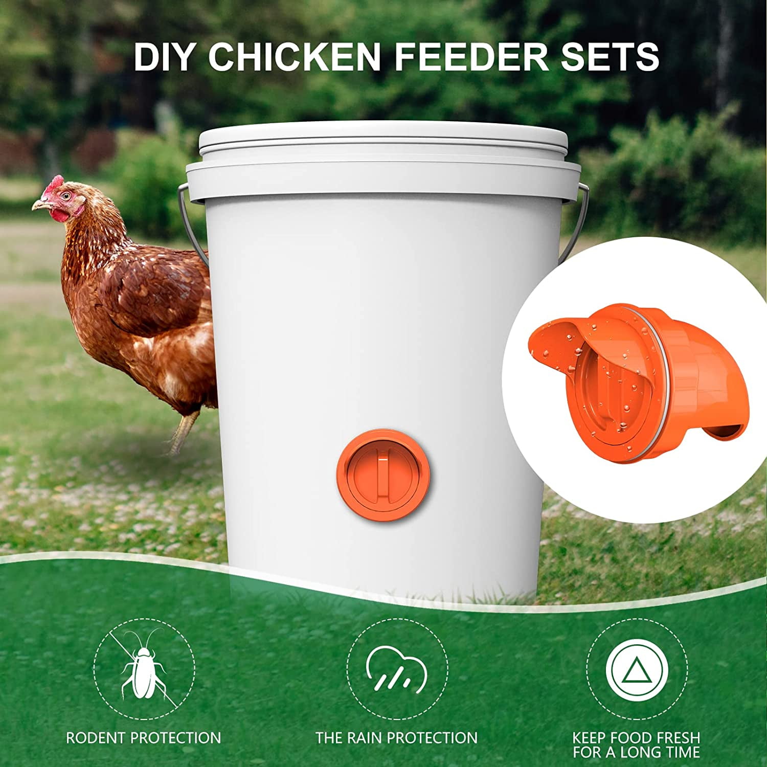 Electronic chicken feeder cheap