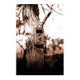 BUSHNELL 8MP TROPHY CAM HD WIRELESS TRAIL CAMERA