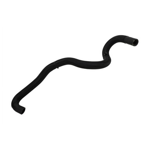 Radiator Outlet Hose