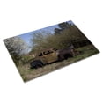 thumbnail image 3 of Print: Rural Alabama In The Spring, 2010, 3 of 4