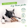 thumbnail image 3 of Juguete masticable para perros Benebone Wishbone, duradero para masticadores agresivos, 3 of 7