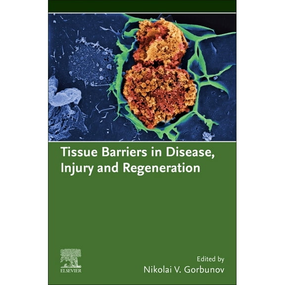 Tissue Barriers in Disease, Injury and Regeneration, (Paperback)