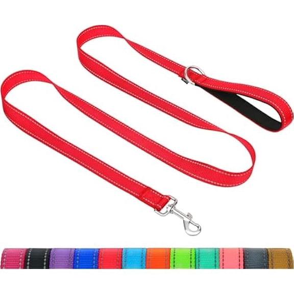 Eryueer Dog Leash for Small Dogs, Double-Sided Reflective Leash with Soft Neoprene Padded Handle, 3/4 inch by 4 ft, Fit Small Medium Large Breeds Under 20 lbs, Red
