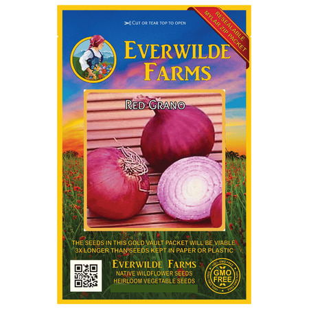 Everwilde Farms - 500 Red Grano Onion Seeds - Gold Vault Jumbo Bulk Seed (Best Onion Seeds In India)