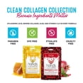thumbnail image 3 of Mielle Moisture RX Hawaiian Ginger Acondicionador hidratante y antirotura 12 fl.oz, 3 of 5