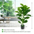 thumbnail image 2 of Spaco 2-Pack Artificial Fiddle Leaf Fig Tree, 2 Packs of Artificial Trees, Fade-Resistant Tree Artificial for Indoor and Outdoor as Living Room, Garden, Green, 2 of 7