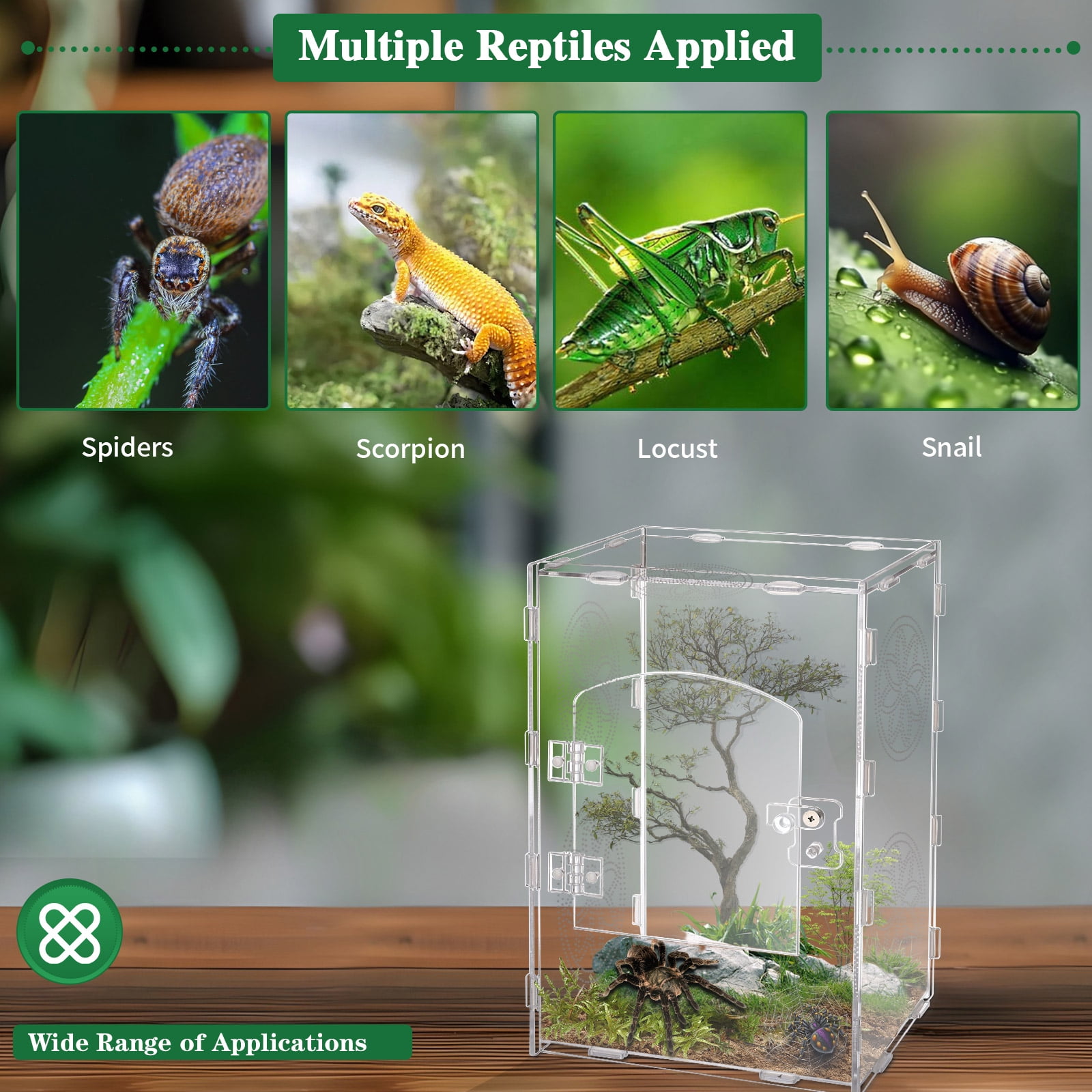 Jumping Spider Enclosure, 11.8x7.8x6 Inch Jumping Spider Enclosure Accessories, Tarantula Enclosure Accessories with Air Holes
