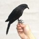 thumbnail image 2 of Artificial Raven & Magpie Birds Decor for Outdoor Garden & Home Decoration, 2 of 5