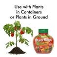 thumbnail image 6 of Dynamite 605910 Natural and Organic Mater Magic Plant Food, 0.675-Pound, 6 of 7