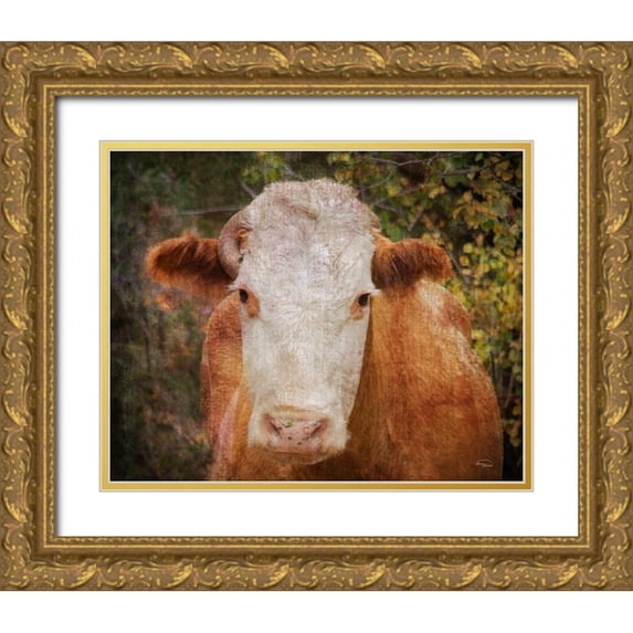 Murdock, Ramona 18x15 Gold Ornate Wood Framed with Double Matting Museum Art Print Titled - Its Been a Tough Life Darlin