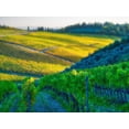 thumbnail image 2 of Eggers, Julie 14x12 Black Ornate Wood Framed with Double Matting Museum Art Print Titled - Italy-Chianti Vineyard in autumn in the Chianti region of Tuscany, 2 of 4