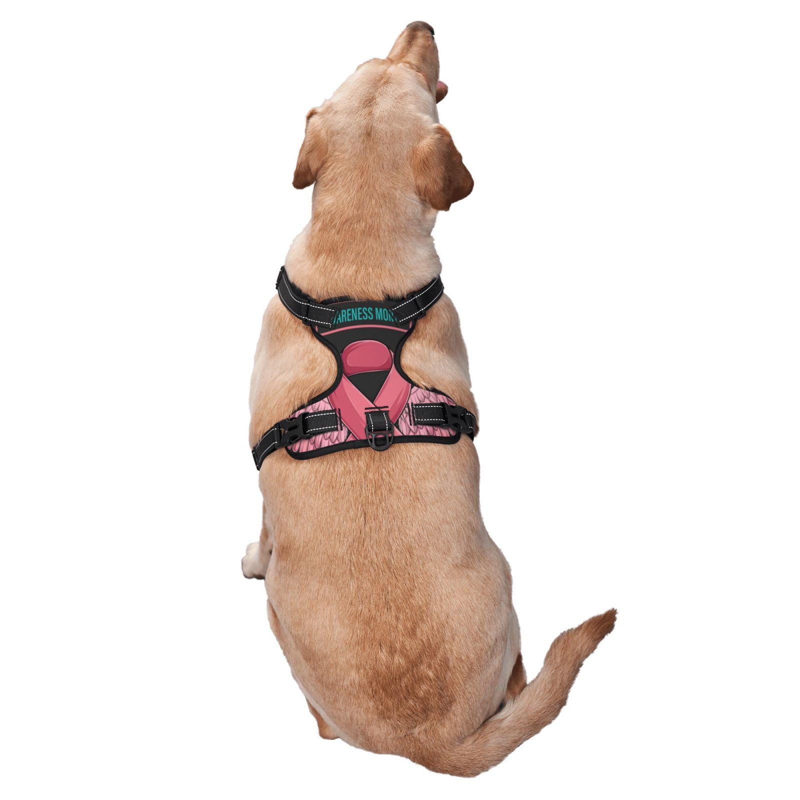 Vsdgher Ribbon With Angel Wings Dog Harness, No-Pull Pet Harness, Dog Vest, Pet Vest for Small to Large Dogs-