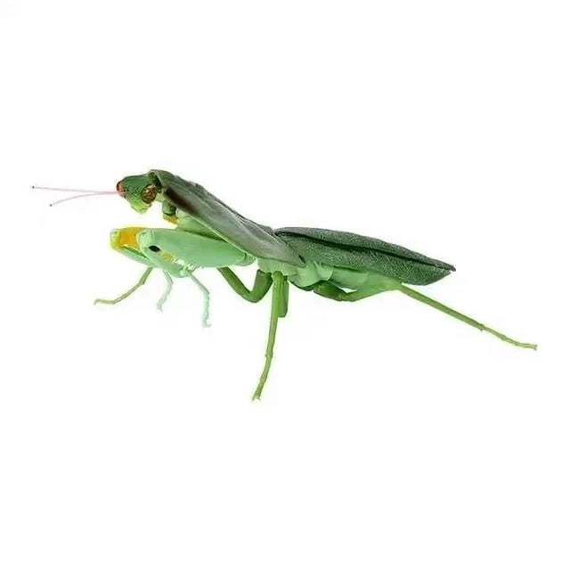Insects Gashapon Big Picture Book Series Mantis Spider Scorpion Wasp Simulation Insect Action Figure Model Toys