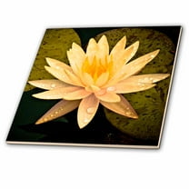 3dRose, Yellow Lotus Flower, 8 Inch Glass Tile