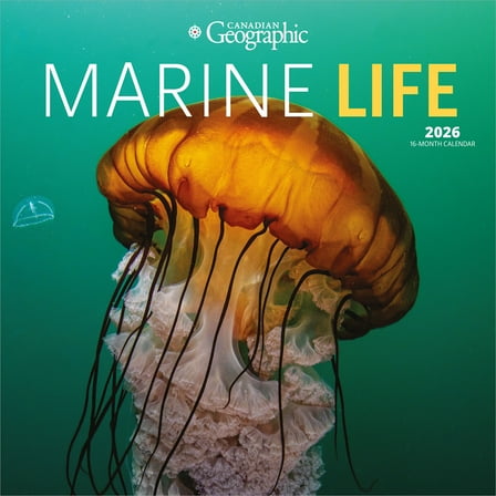 Canadian Geographic Marine Life | 2026 12x24" (Hanging) Square Wall Calendar