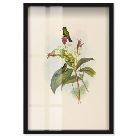 Ethereal Visitors Shadowbox Print Botanical Art by Art Remedy, Black Frame, 10 x 15