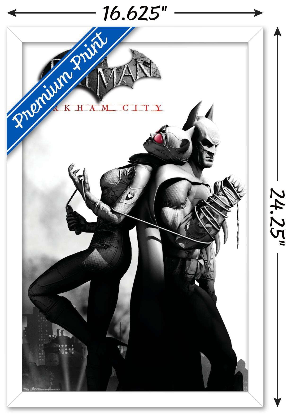 DC Comics Video Game - Arkham City - Catwoman Wall Poster, 14.725" x 22.375", Framed