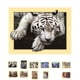 thumbnail image 3 of Animal Resina 5D DIY Diamante Pintura Bordado Punto de Cruz Imagen Decoración de la pared del hogar - L2005 Sweethay JJ13343-01, 3 of 6
