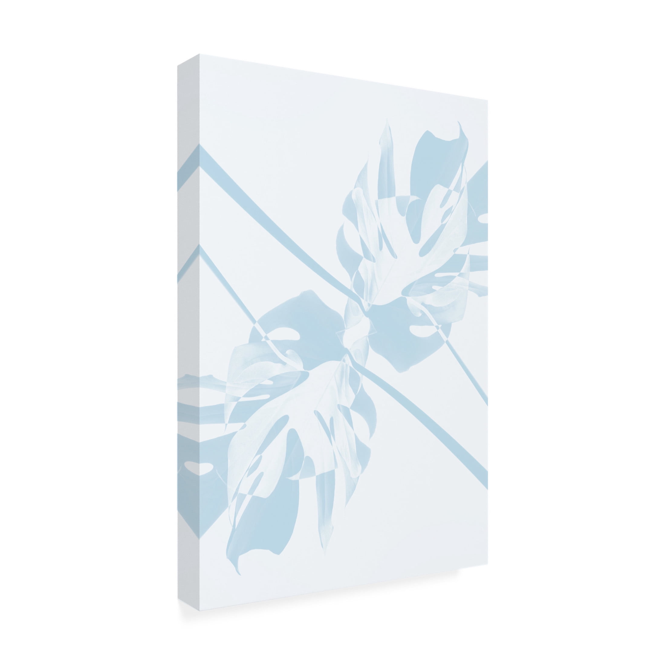 Trademark Fine Art Pictufy Studio Monstera Kaleidoscope 06 Canvas Wall Art