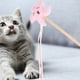 thumbnail image 3 of 3 juguetes interactivos para gatos, palos de juguete para limpiar los dientes y rechinar los dientes., 3 of 8
