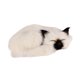 thumbnail image 5 of Lindo juguete de peluche de gato, cómodo y suave, decoración del hogar realista. Blanco, 5 of 9