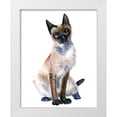 thumbnail image 1 of Shefranov, Olga 20x24 White Modern Wood Framed Museum Art Print Titled - Cat II, 1 of 4