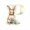 P, variant on DefiDgd Easter Bunny Flower 26 Letters Hanging Ornament,2D Flat Acrylic Personalized A-Z Alphabet Ornaments for Easter Spring Party Window Home Hanging Decoration(R)