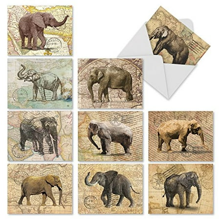 M10022BK TRUNK MAIL' 10 Assorted All Occasions Notecards Featuring Images Of Elephants On An Antique Map Background with Envelopes by The Best Card (Best Map Card For Lowrance)
