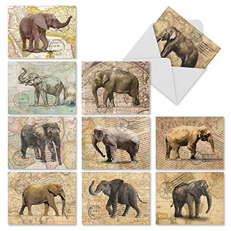 M10022BK TRUNK MAIL' 10 Assorted All Occasions Notecards Featuring Images Of Elephants On An Antique Map Background with Envelopes by The Best Card (Best White Elephant Gifts On Amazon)