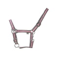 thumbnail image 1 of Hy Two Tone Horse Headcollar, 1 of 1