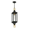 thumbnail image 2 of Savoy House - 5-277-144 - Glendale 1-Light Outdoor Hanging Lantern in Matte Black and Weathered Brushed Brass, 2 of 5