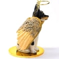 thumbnail image 4 of Conversation Concepts Rat Terrier Ornament, 4 of 4