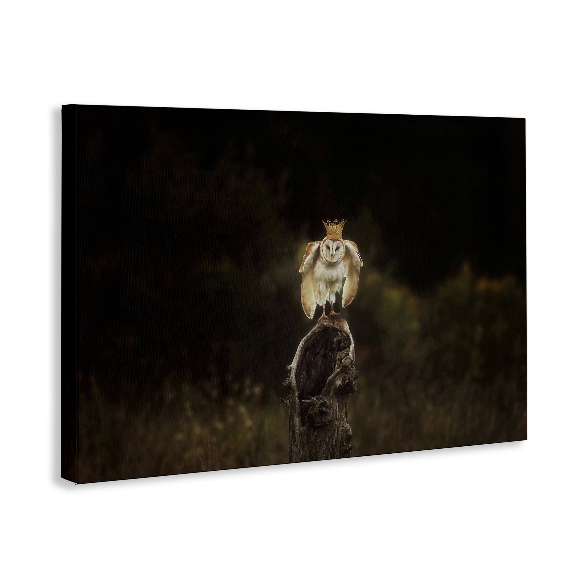 Stupell Industries Crowned Owl Perched Animals & Insects Photography Gallery Wrapped Canvas Art Print Wall Art, 45 x 30