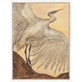 thumbnail image 3 of Hoytema, Theo van 12x14 Black Modern Framed Museum Art Print Titled - Egret, 3 of 5